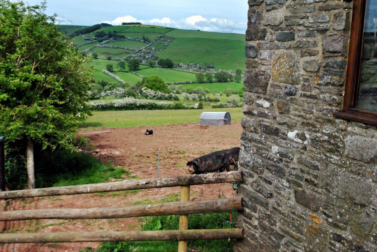 Eco Cottage Joe The Buck Craven Arms Dış mekan fotoğraf