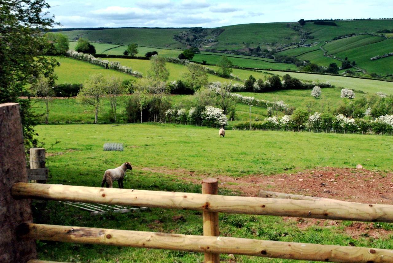 Eco Cottage Joe The Buck Craven Arms Dış mekan fotoğraf