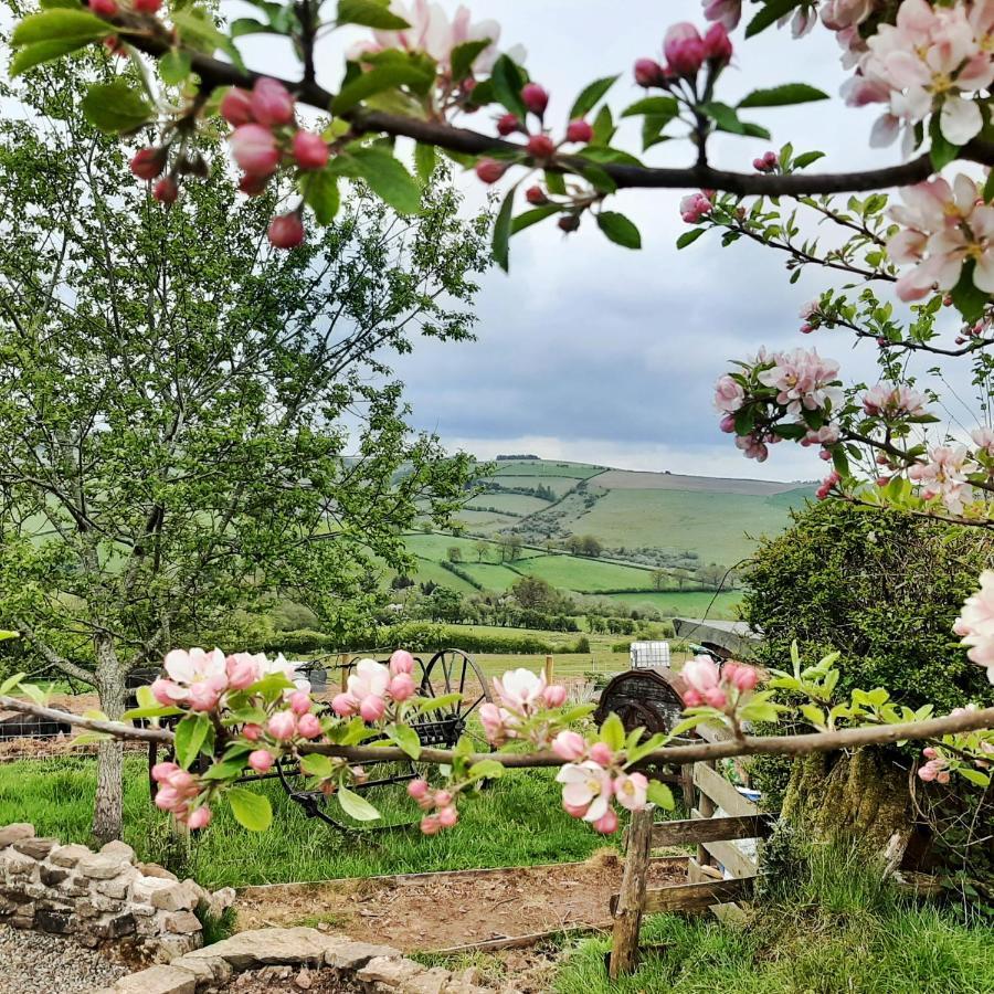 Eco Cottage Joe The Buck Craven Arms Dış mekan fotoğraf