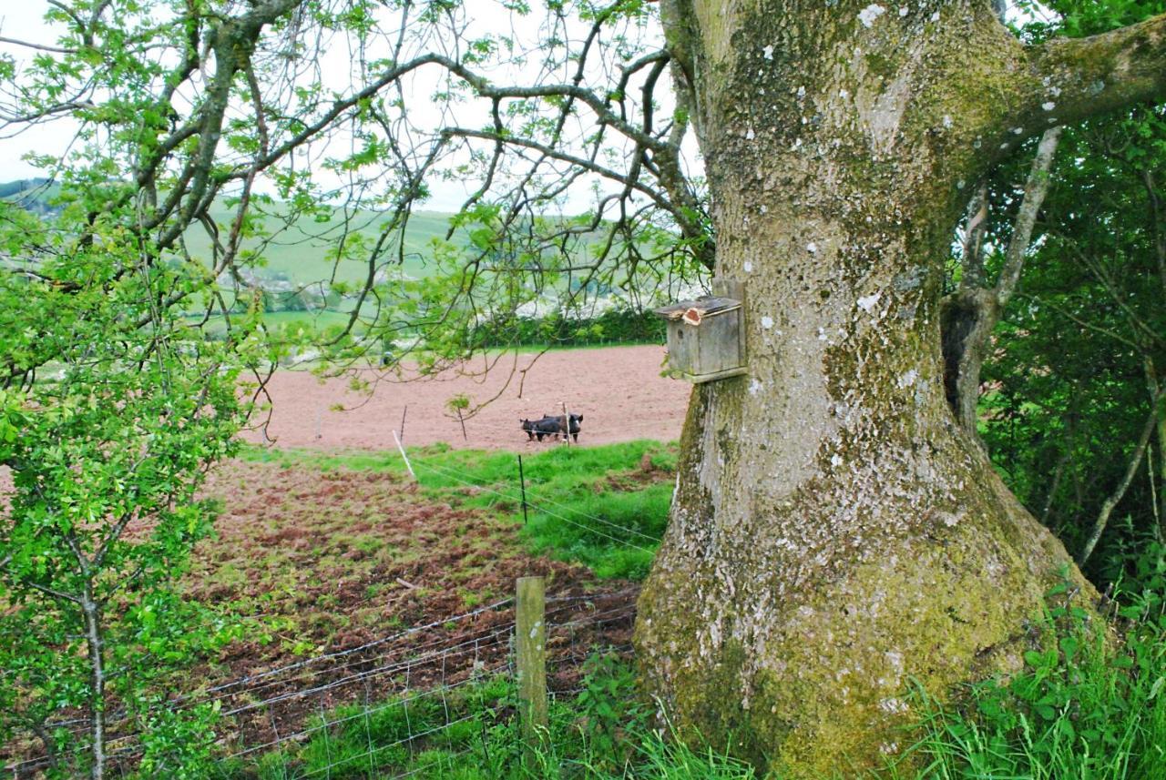 Eco Cottage Joe The Buck Craven Arms Dış mekan fotoğraf
