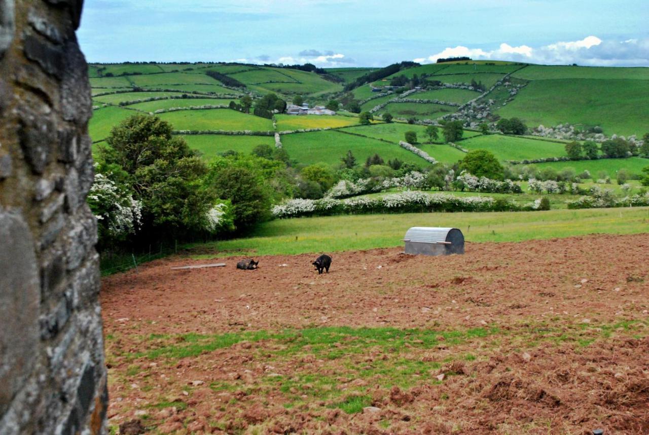 Eco Cottage Joe The Buck Craven Arms Dış mekan fotoğraf