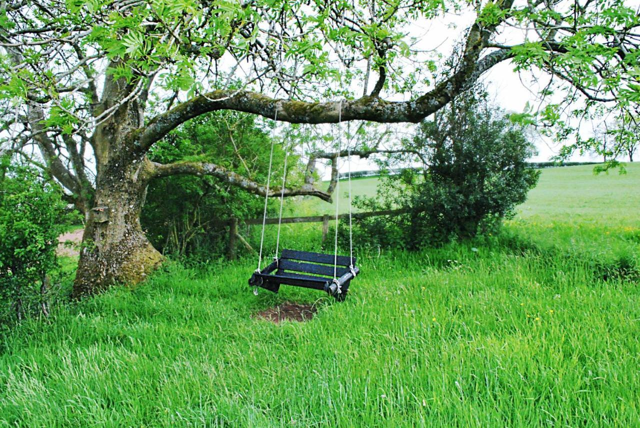 Eco Cottage Joe The Buck Craven Arms Dış mekan fotoğraf