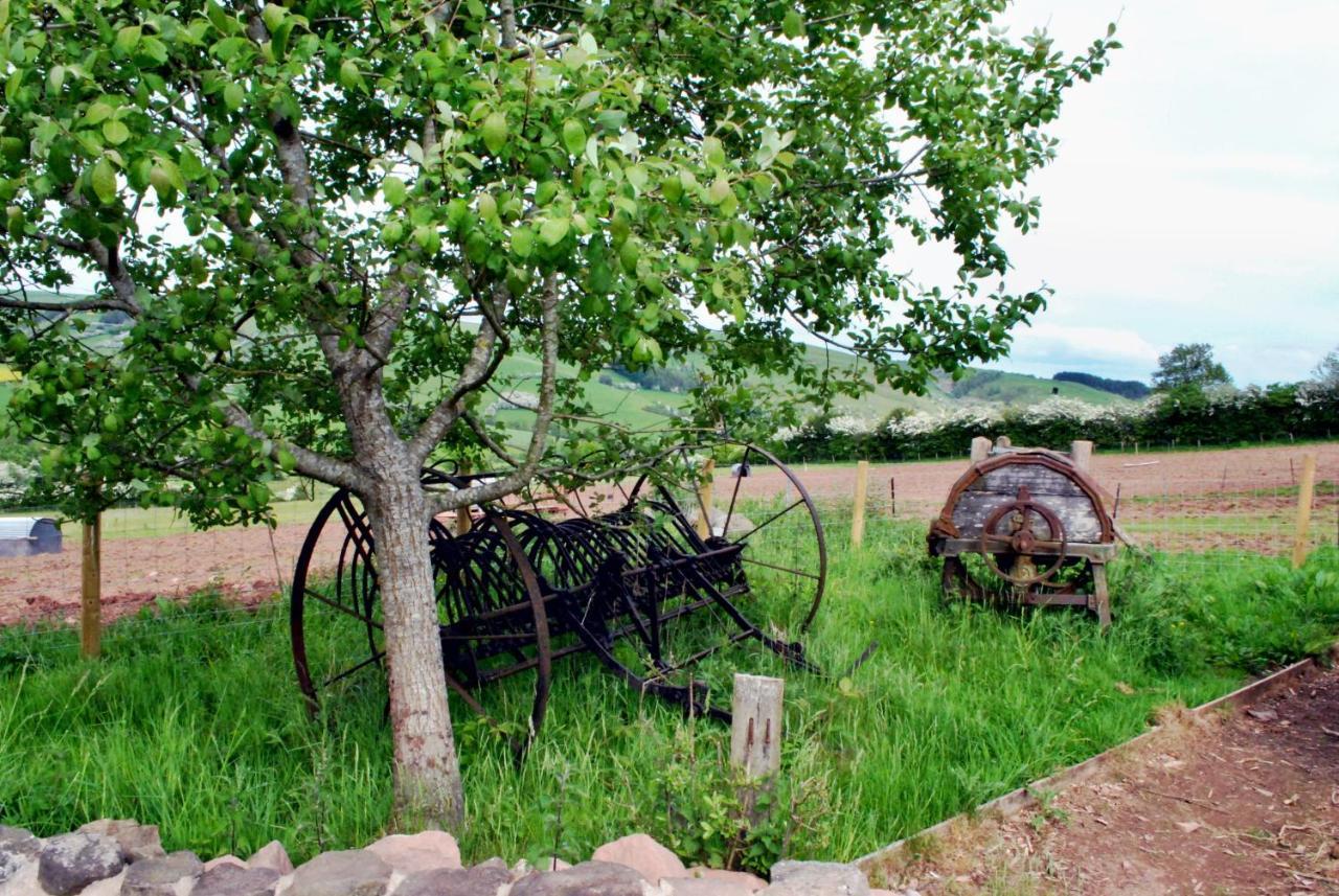 Eco Cottage Joe The Buck Craven Arms Dış mekan fotoğraf