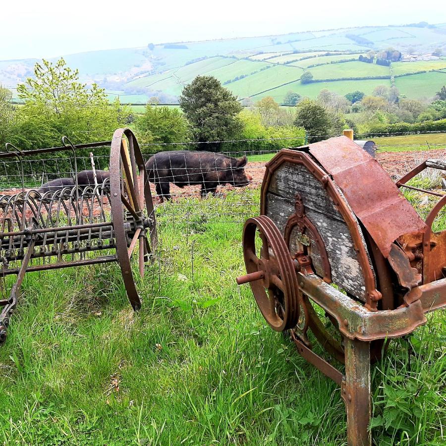 Eco Cottage Joe The Buck Craven Arms Dış mekan fotoğraf