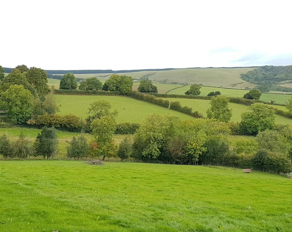 Eco Cottage Joe The Buck Craven Arms Dış mekan fotoğraf